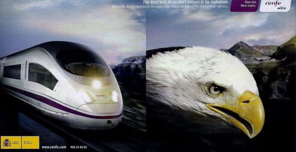 d8aa223dec2363e1edd68dd443fa70a6